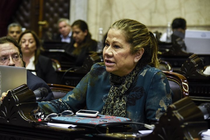 Graciela Camaño: &quot;Sentí bronca porque en un acto de un avión vinculado a la dictadura, Cristina hablaba de interna política&quot;