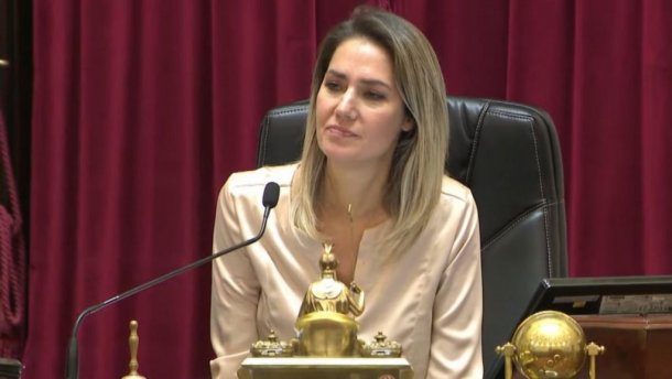 Carolina Losada: “En el Senado estábamos juntos y repudiando lo sucedido, porque el mensaje fue llamar a la paz"