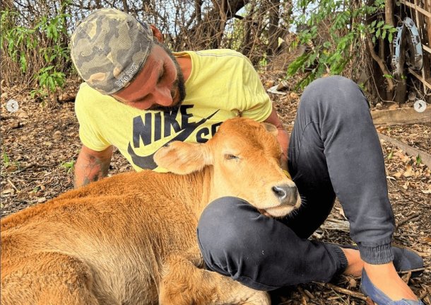 La Fundación "Planeta Vivo" está juntando plata para ayudar a los animales afectados por los incendios en la Patagonia
