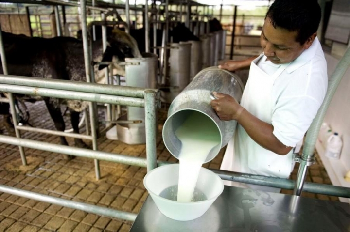 La complicada situación del sector lácteo