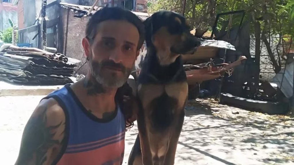 Chiquito, el perro que salvó a su dueño y a un gatito del incendio que destruyó la casa por completo
