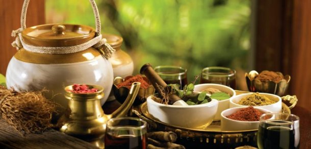 José Harvey: “La medicina ayurveda es una forma muy completa de hacer salud”