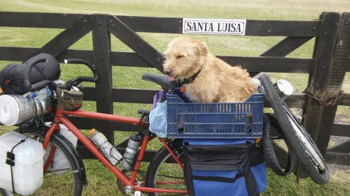 La historia de Carlos Méndez que viajó 1250 km en bicicleta por Argentina y con su perra