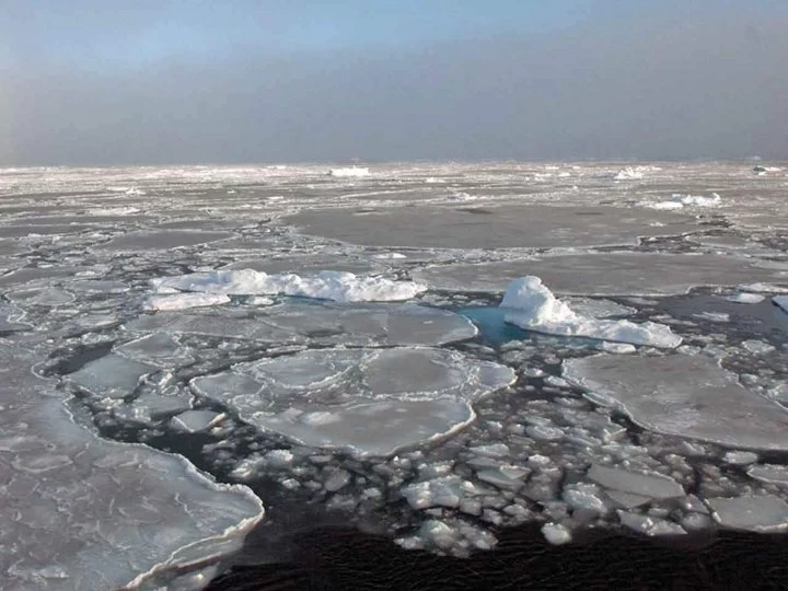 Especialista en cambio climático: &quot;En términos generales, los inviernos van a ser más calientes&quot;
