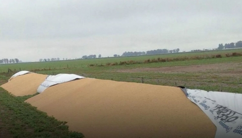 De Raedemaeker, sobre los delitos en el campo: "Es un daño que se le hace a la comida"