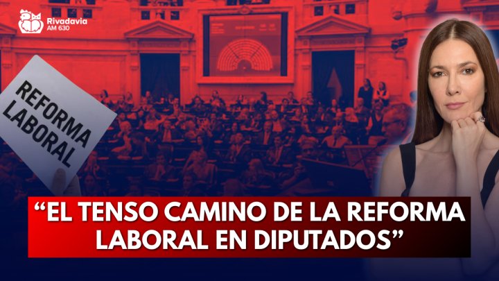 "La reforma laboral pasó la prueba en Diputados"