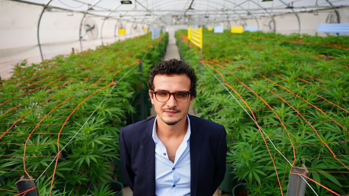 Gastón Morales: &quot;El cannabis medicinal ocupa un lugar muy importante para el desarrollo de la provincia&quot;