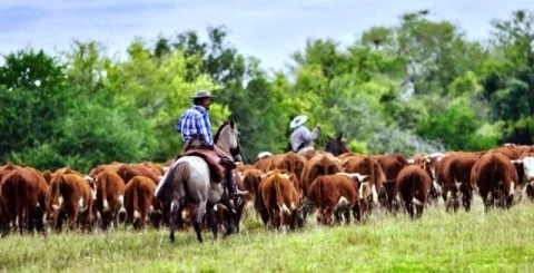 Resero: Una profesión casi desaparecida en el campo
