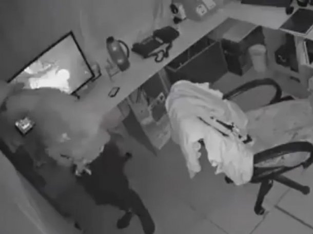 Robaron zapatillas y celulares a un cuartel de Bomberos voluntarios: "Era el celular para avisar de las emergencias"