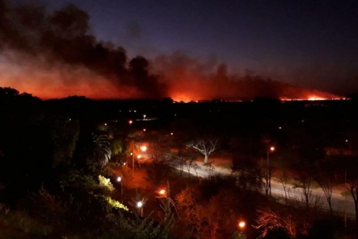 Incendios en el Delta: Javkin denunció que son intencionales y hay preocupación en Rosario