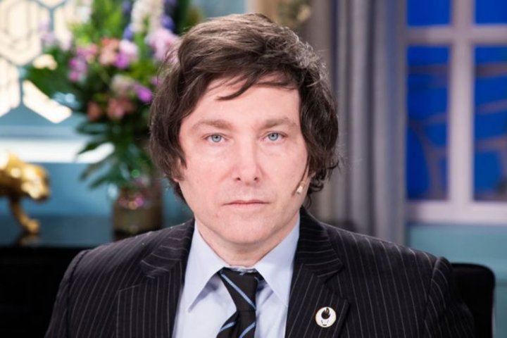 Javier Milei: "kicillof tiene problemas  de biblioteca"