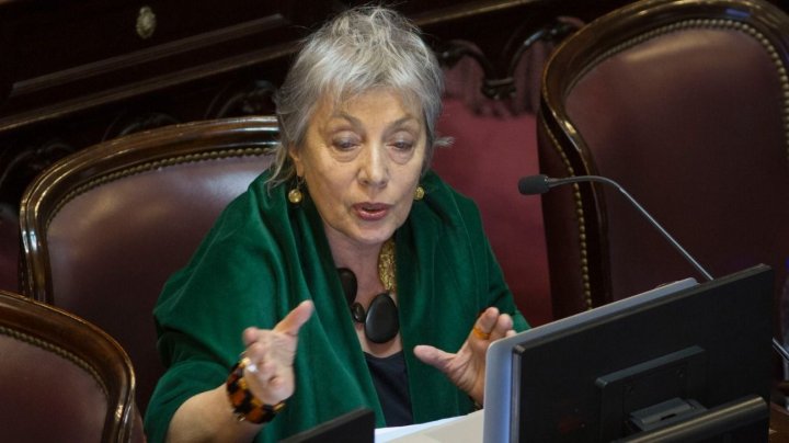 Norma Morandini: &quot;El kirchnerismo se apropió de un suceso que nos ocurrió a todos, no solo a ellos&quot;