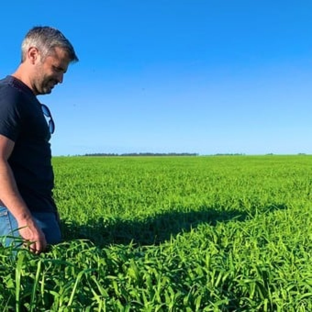 Diego Sallaberry: "Toda la tecnología que aplicamos a la agricultura también lo hacemos en la ganadería"