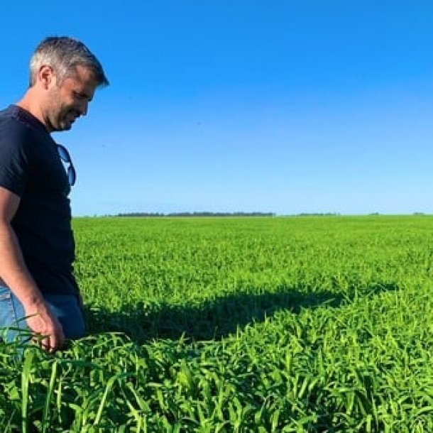 Diego Sallaberry: "Toda la tecnología que aplicamos a la agricultura también lo hacemos en la ganadería"