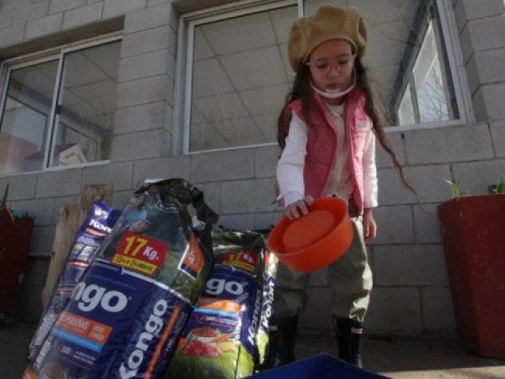 Una nena vendió ropa para recaudar fondos y comprarle comida a perros de un refugio