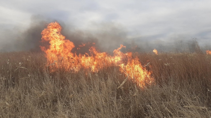 Sospechoso incendio en el campo del presidente de la Sociedad Rural de Río Cuarto