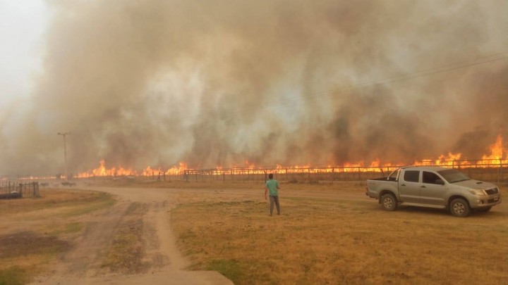 Un productor maderero perdió más de 600 hectáreas por los incendios en Corrientes: “No hay forma de apagar esto”
