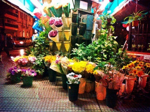 Día de la Primavera: ¿Cuánto cuestan las flores?