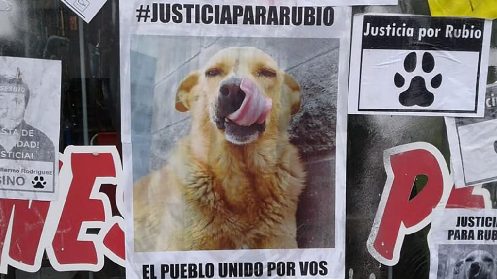 Suspenden el juicio por el crimen de Rubio, el perro que fue asesinado tras ser arrastrado 2 kilómetros atado a una camioneta
