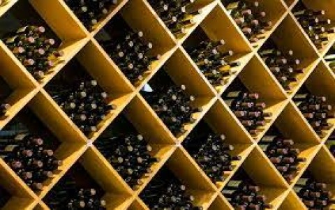 Javier Quiroga: "Tenemos un país con un terreno excelente para hacer vino"