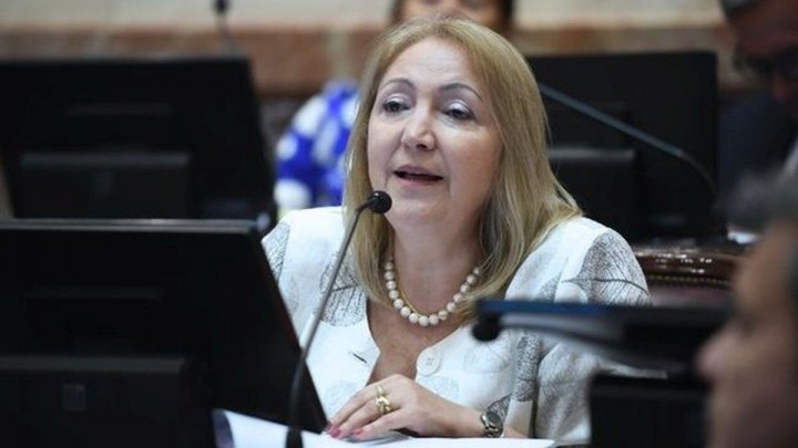 Silvia Giacoppo: "El Gobierno utiliza a Milagro Sala para descalificar a la Corte Suprema"