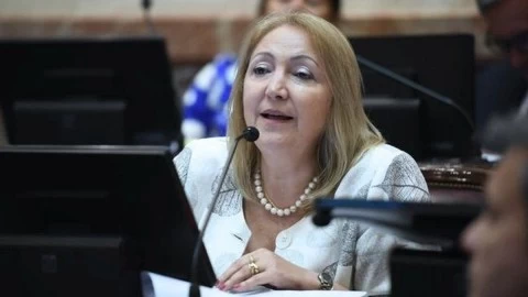 Silvia Giacoppo: "El Gobierno utiliza a Milagro Sala para descalificar a la Corte Suprema"