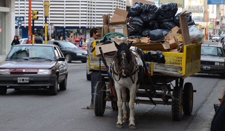La mafia de los caballos: los alquilan para carros por $1.500 y los venden para consumo humano