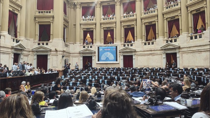 Preocupación por el funcionamiento del Congreso: se sancionaron sólo 36 leyes en el 2022