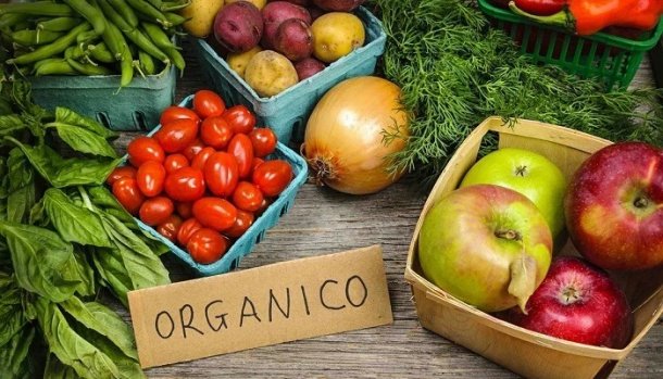 Mariela Mociulsky: "La cultura preventiva busca que los alimentos nos den inmunidad"