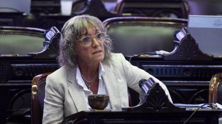 Mónica Frade: "La interna de LLA es el germen de todo esto"