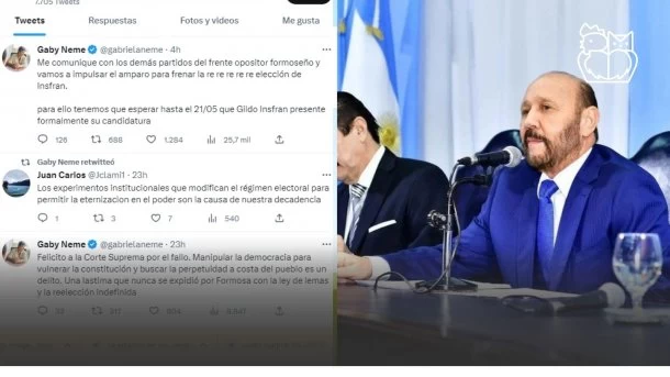 Gabriela Neme adelanta que presentarán un amparo contra la reelección de Insfran