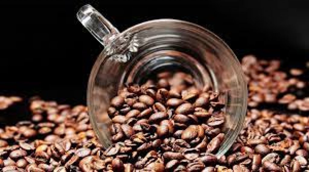 María Retamozo: &quot;El mejor grano de café que probé fue de Zambia&quot;