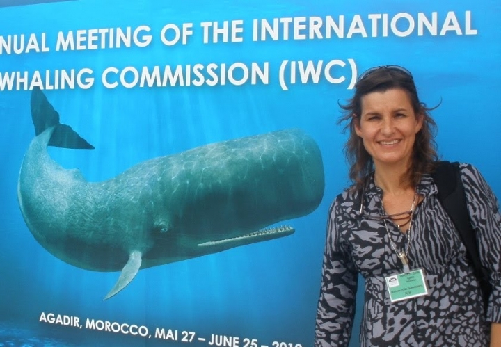 Roxana Schteinbarg: &quot;El instituto de conservación de ballenas se creó hace 5 años&quot;