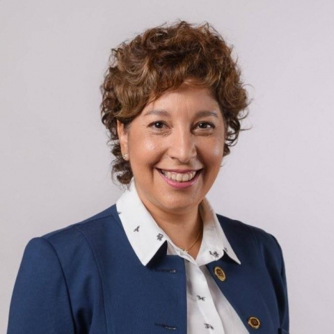 Arabela Carreras: "Solo se puede contener los limites del incendio, vinculado a viviendas o poblaciones"