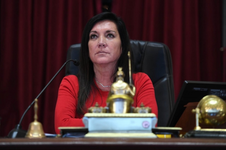 La senadora de JxC, Rodríguez Machado, aseguró que el bloque está en contra del proyecto Covid y que “tomarán otros recaudos”