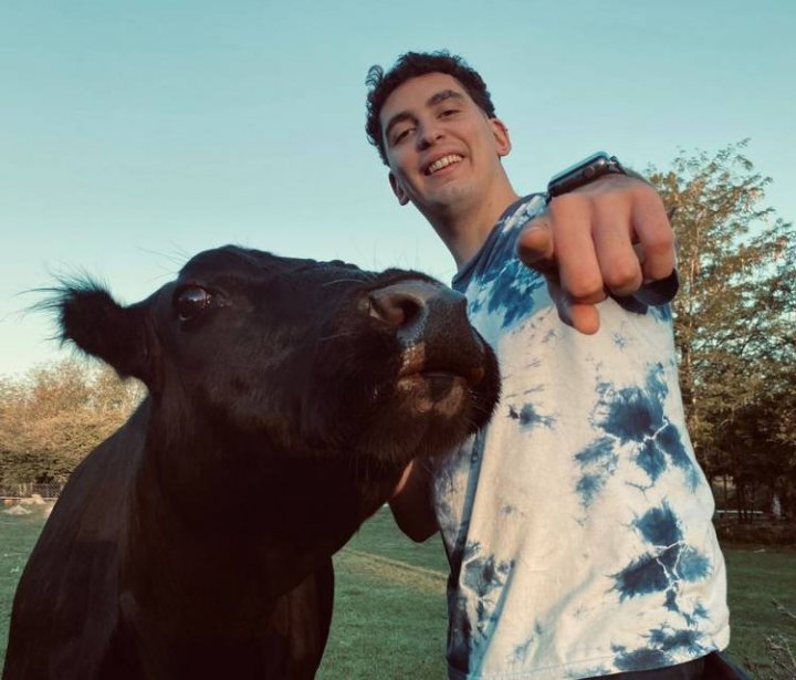Facundo adoptó a una vaca como mascota luego de salvarle la vida