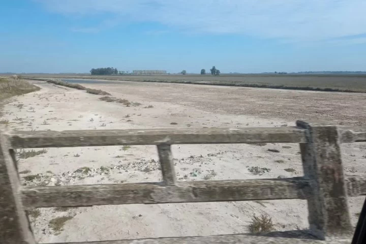 Juan José Madero, ingeniero agrónomo de Pila: “Por la noche hay gente con linternas caminando por el medio del Rio Salado, está seco”