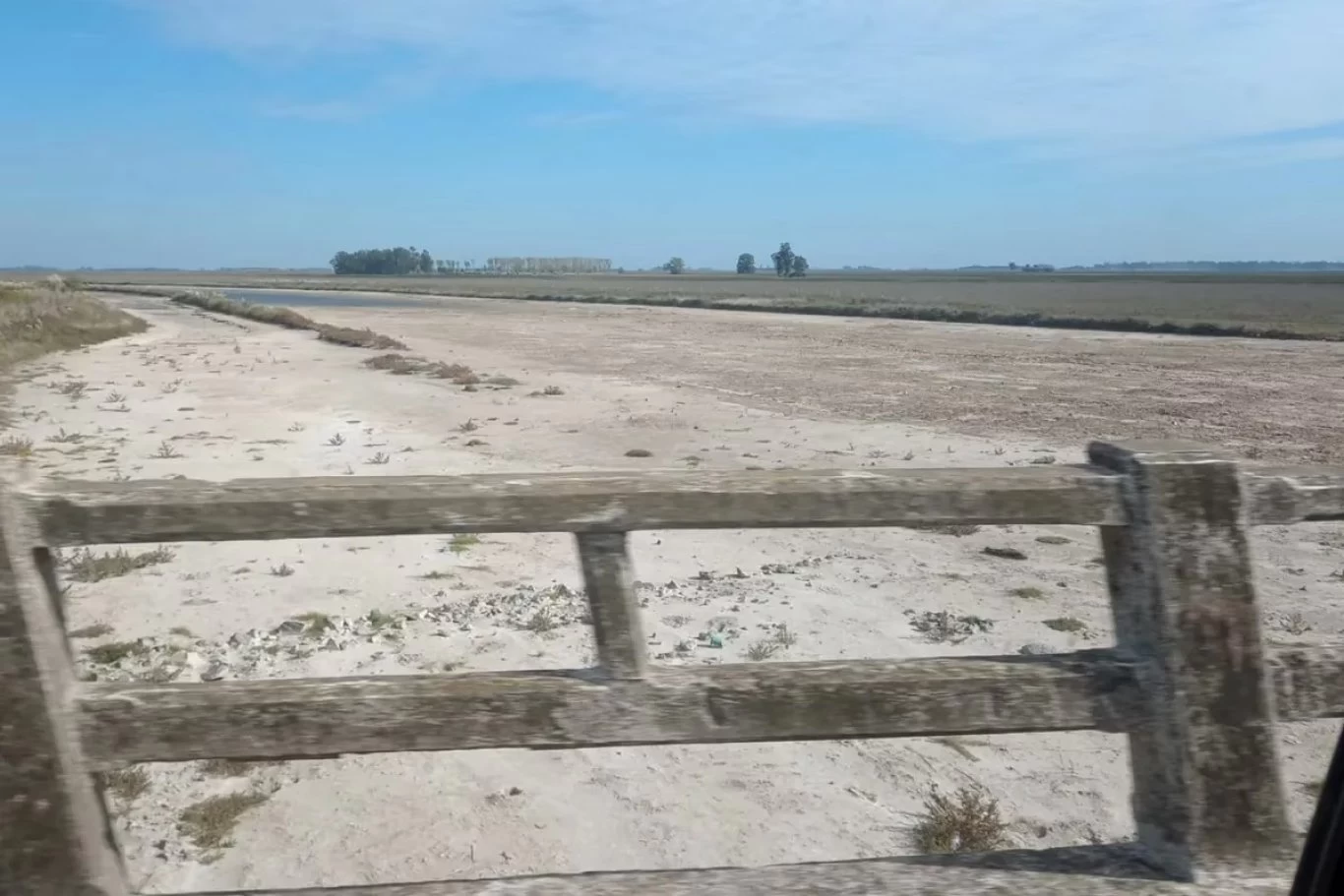 Juan José Madero, ingeniero agrónomo de Pila: “Por la noche hay gente con  linternas caminando por el medio del Rio Salado, está seco” - Radio  Rivadavia AM630