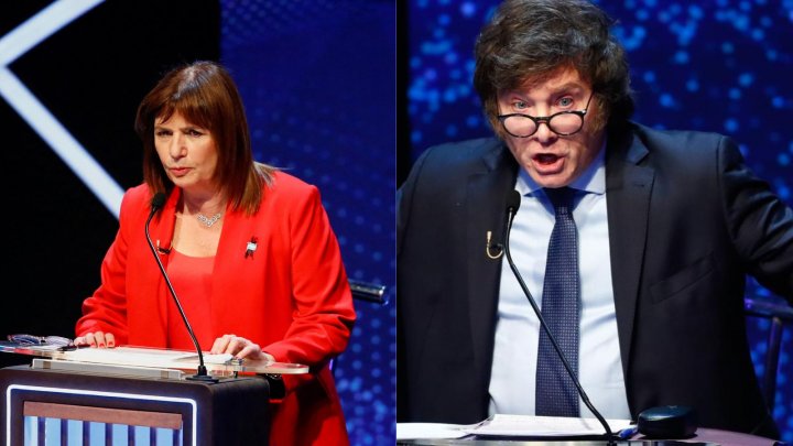 &quot;Milei tiene un enamoramiento con el pejotismo&quot;