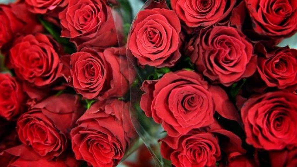 ¿Cuánto valen las flores para San Valentín?