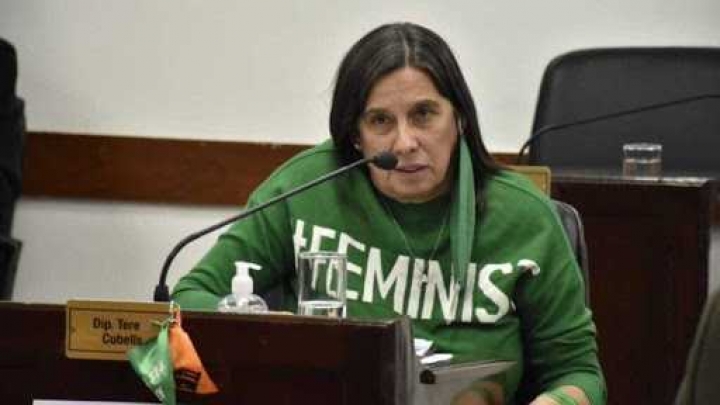 Chaco: una jueza suspendió la Ley del Aborto al alegar su inconstitucionalidad