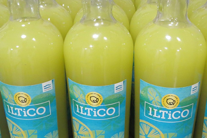 Nicolas Silvetti: &quot;Tucumán es el mayor proveedor mundial de limones&quot;