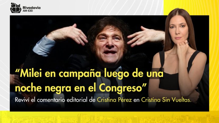 "Milei en campa&ntilde;a luego de una noche negra en el Congreso"