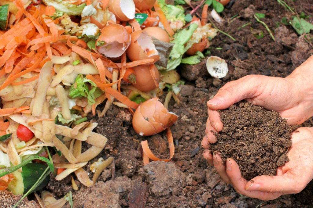 Lorena Tanferna: &quot;El compost se realiza con restos orgánicos de comida&quot;