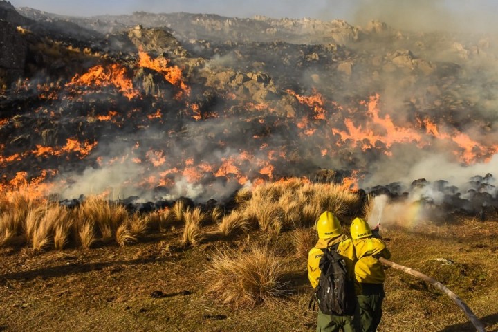 El dolor de un productor ganadero por los incendios en Corrientes: “La situación es catastrófica”