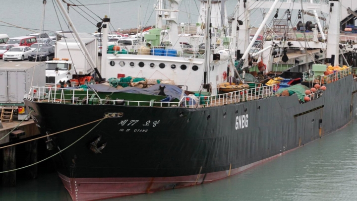 Denuncian que buques chinos cazan especies protegidas de forma ilegal en la Patagonia