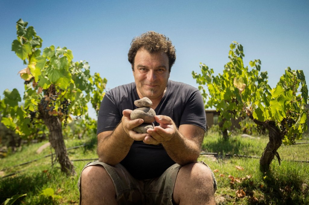 Alejandro Vigil: &quot;La vinicultura es una forma de vida&quot;