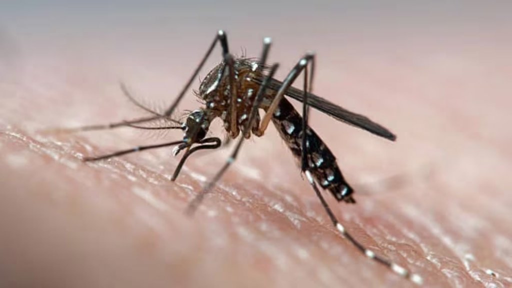 Hugo Pizzi: &quot;El dengue es una enfermedad muy dinámica y traicionera&quot;