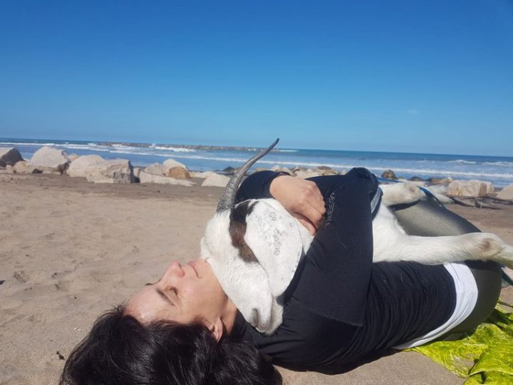 Una divertida historia: Su mejor amiga es una cabra y la rompen en las redes