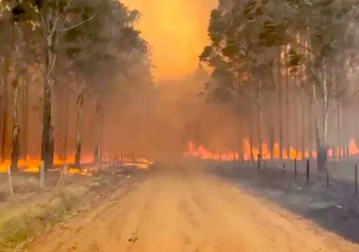 Incendios en Corrientes: un productor agropecuario aseguró que tanto el Gobierno provincial como el nacional reaccionaron tarde